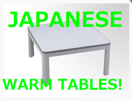 If You are Looking to Rent a Kotatsu in Tokyo, then Event21 is Your Place!!!